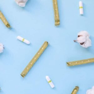 Alternative view of Natracare Organic Cotton Tampons with Applicator – Regular