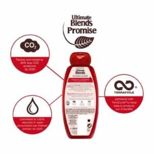 Alternative view of Garnier Ultimate Blends Argan Oil Coloured Hair Shampoo (400ml)